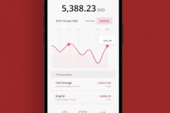 Preparing the future of payments with SG Pay.